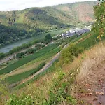 Διαμέρισμα Gaestehaus Schmiedel Bruttig-Fankel