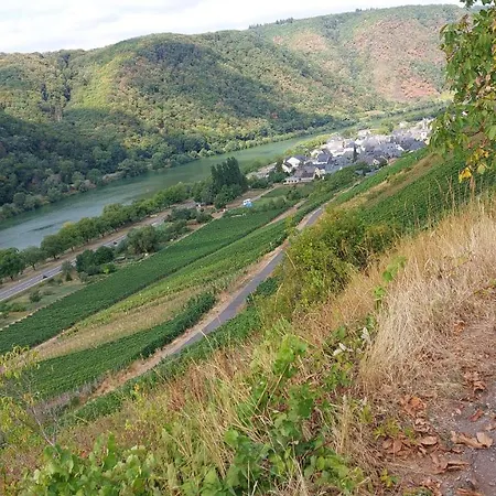 Apartamento Gaestehaus Schmiedel Bruttig-Fankel