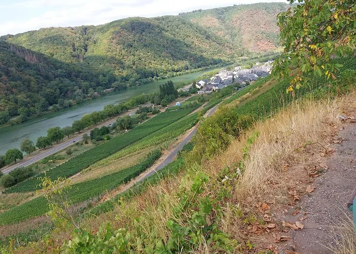 Appartement Gaestehaus Schmiedel Bruttig-Fankel